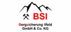 BSI Bergsicherung Ilfeld GmbH & Co.KG